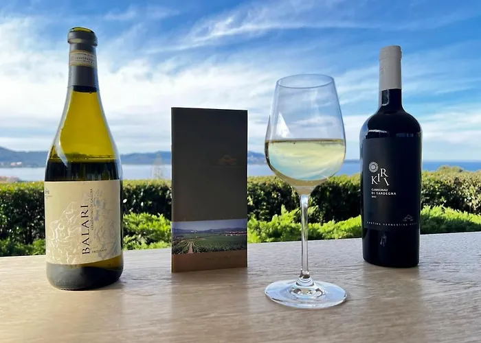 Luxury Newly Build 1br Azulis#5 - Lift - Terrace - Free Parking * Olbia